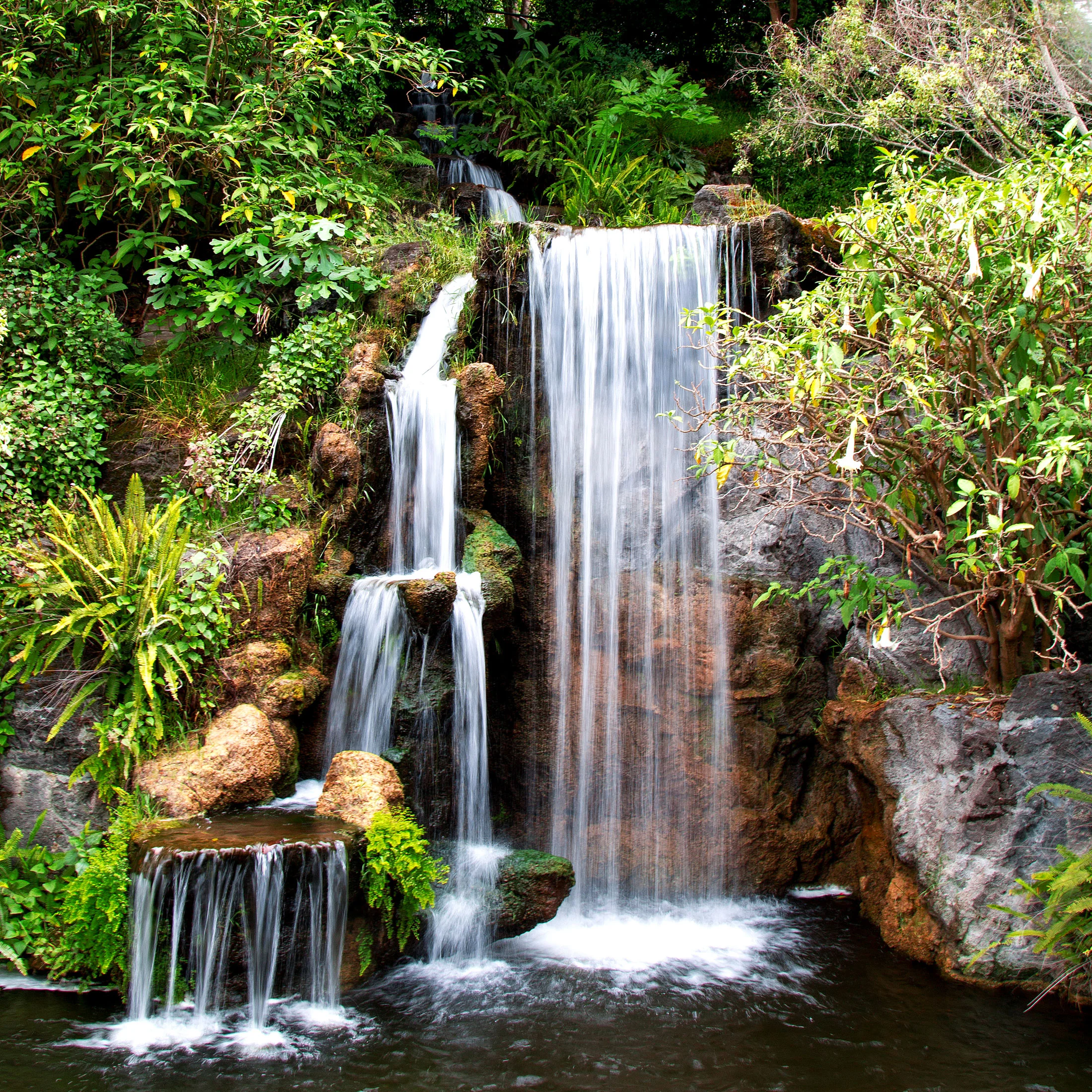 A small waterfall flowing over rocks surrounded by lush green plants and trees. Photographed by Kayla Duffney Creative.