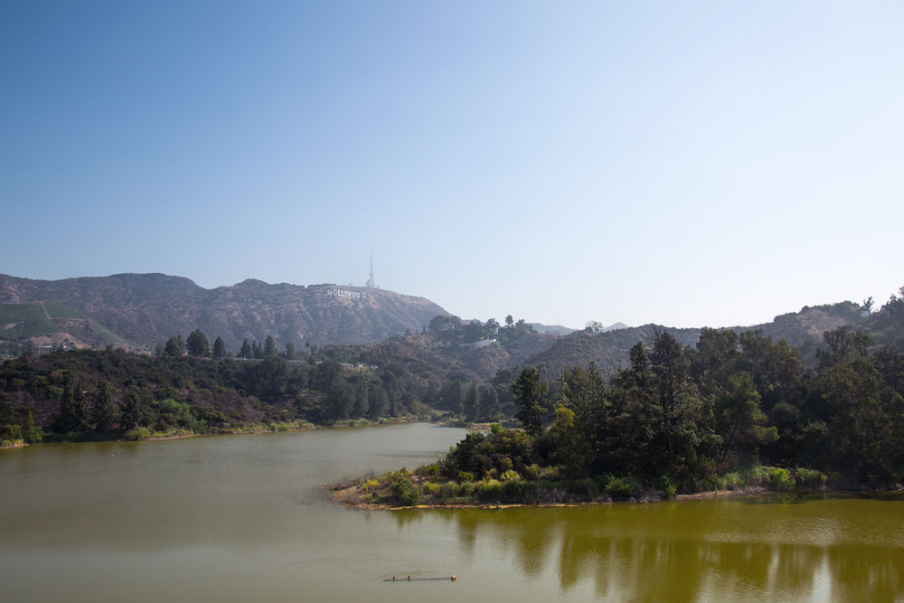 A river with greenish water, surrounded by trees and hilly landscape, with the Hollywood sign visible on distant hills in Los Angeles, California. Photographed by Kayla Duffney Creative.