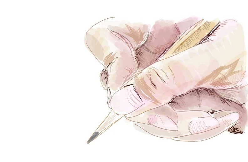 hand-sketch.jpg
