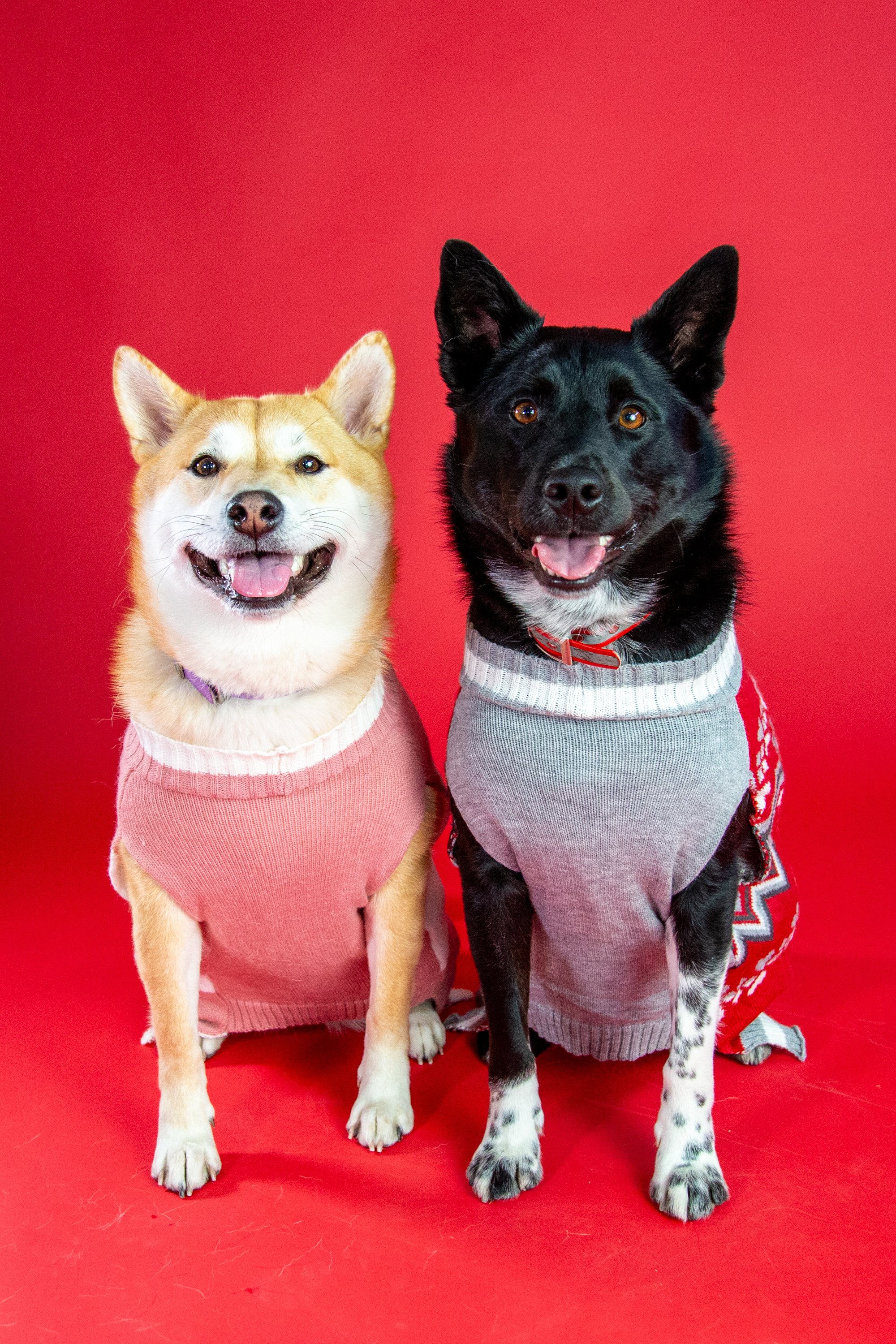 2023_1219Dec Wes and Nora Sweaters-10.jpg