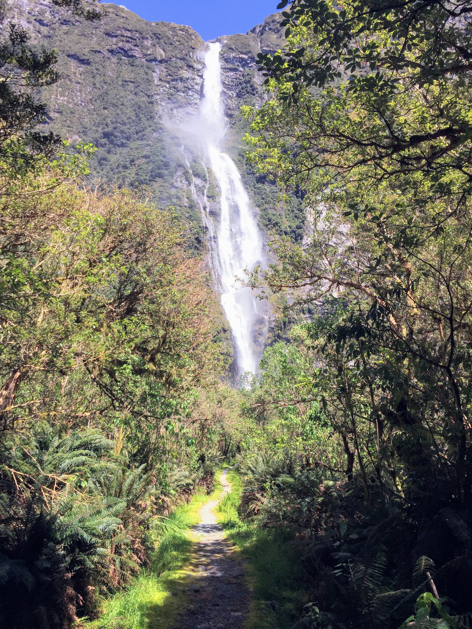 View of Sutherland falls. It's really hard to tell the scale from the photos but it is massive! 