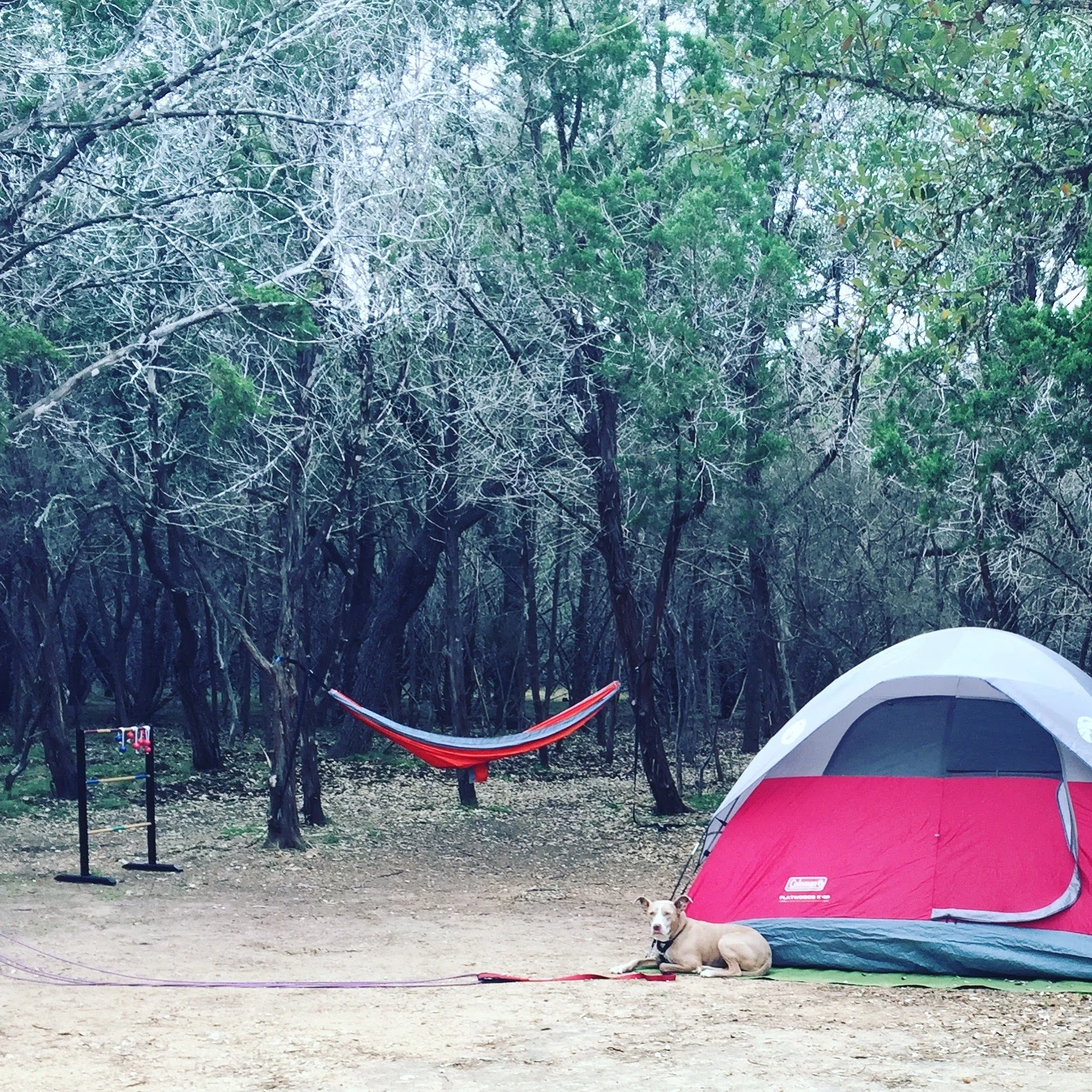 Furry friends and yard games are some of the extras you can bring along when car camping. 
