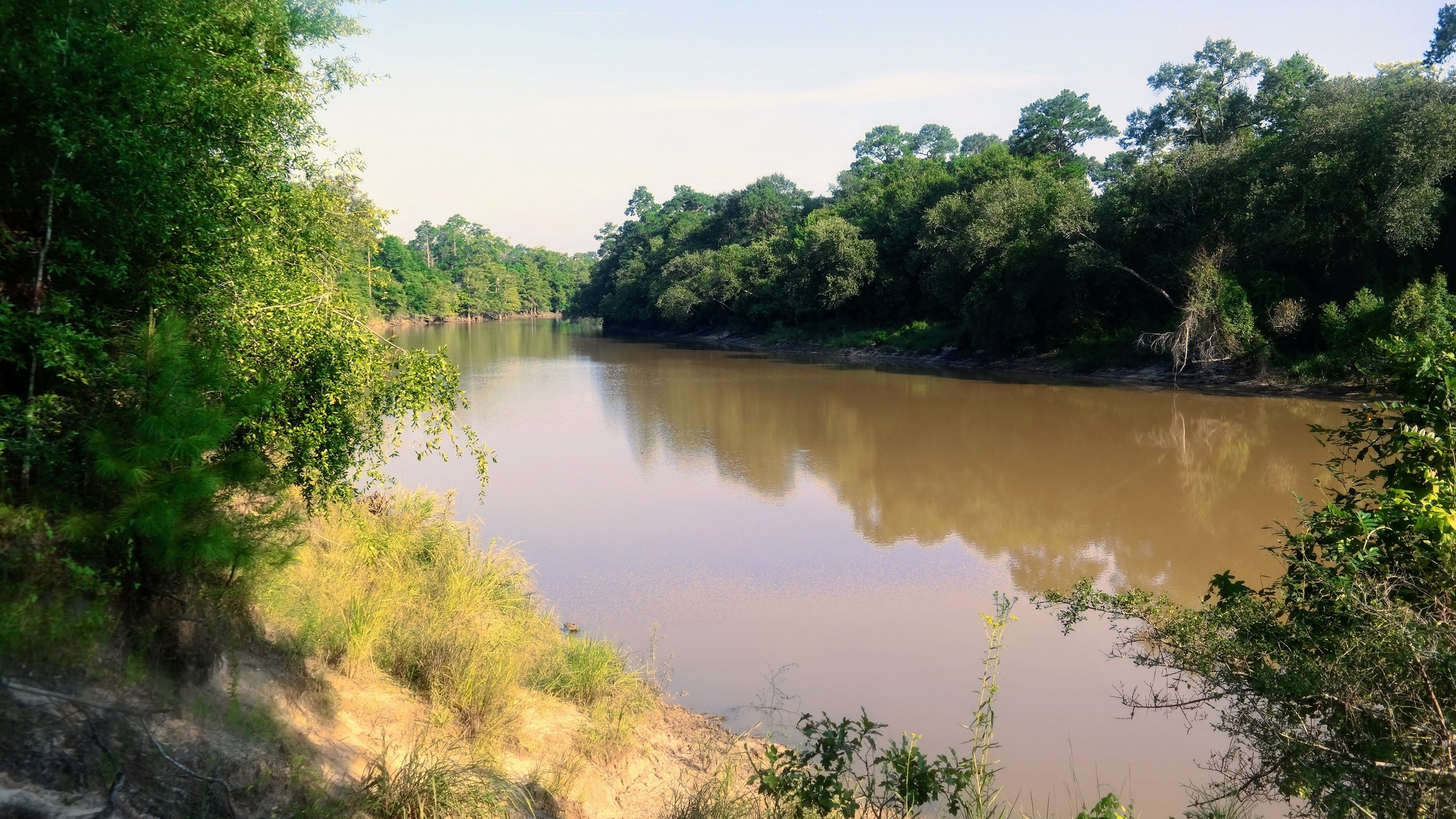 A view of Village Creek, a tributary of the Neches River and the Park's namesake.