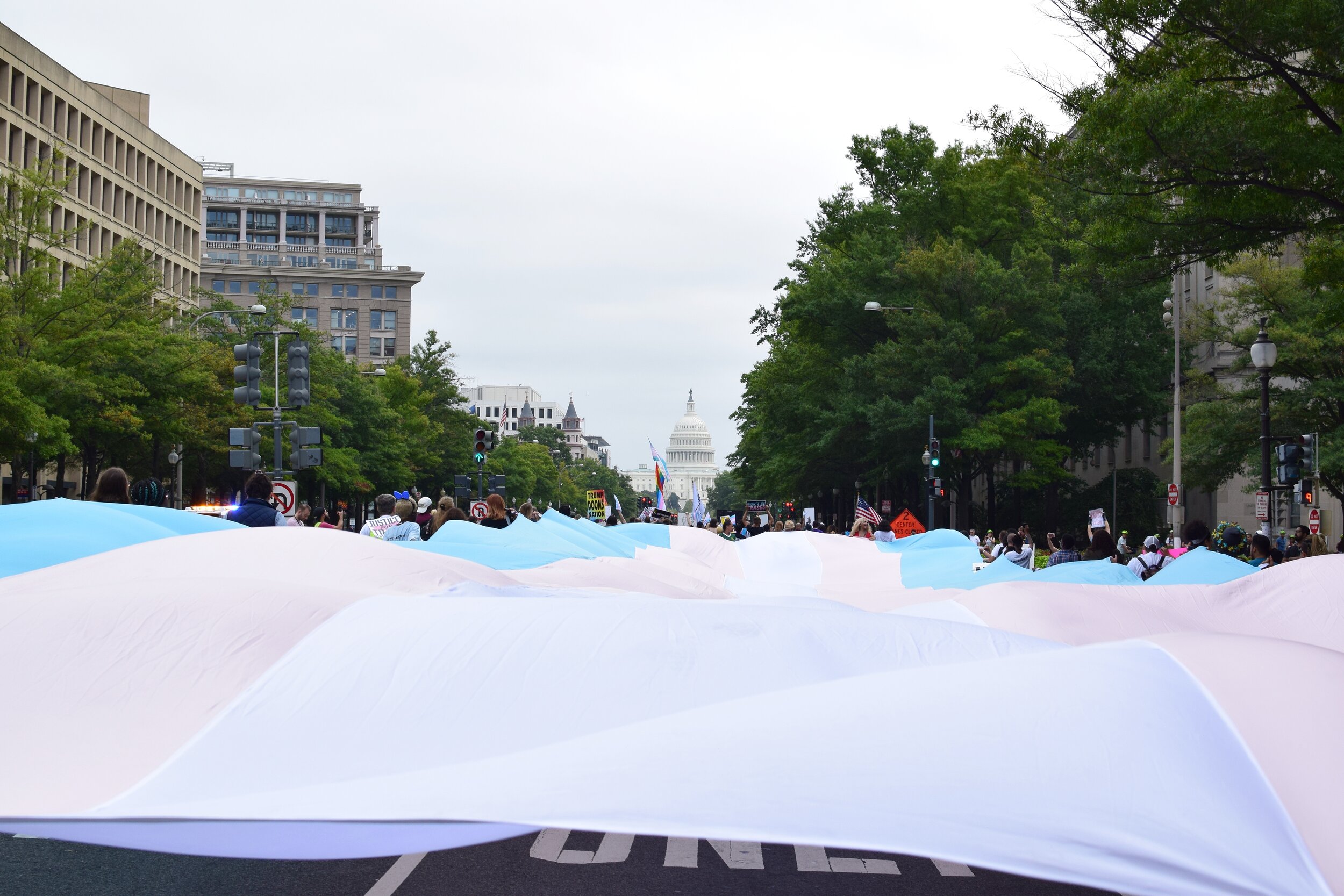National Trans Visibility March (September 2019)