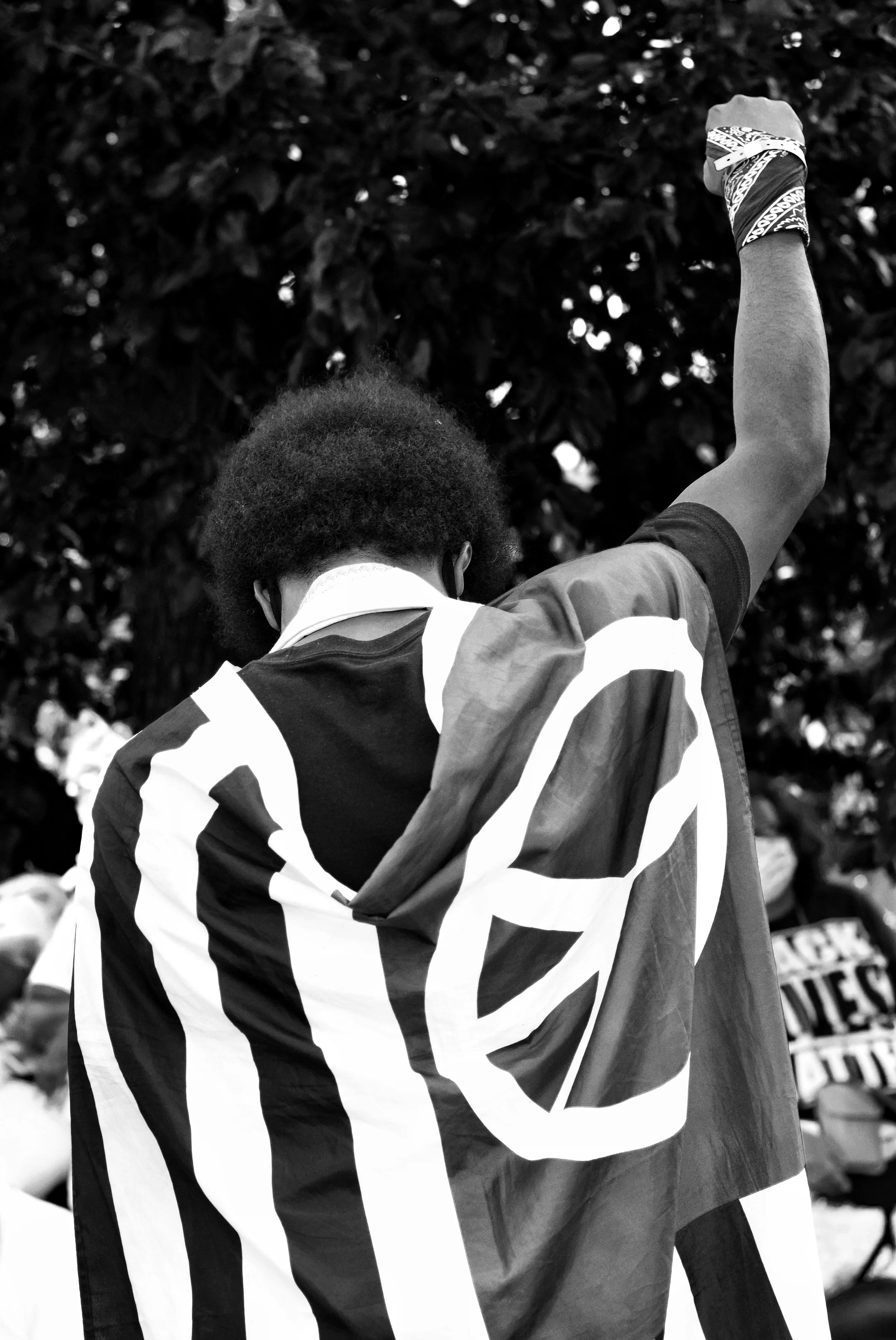 DSC_0190-01.jpeg