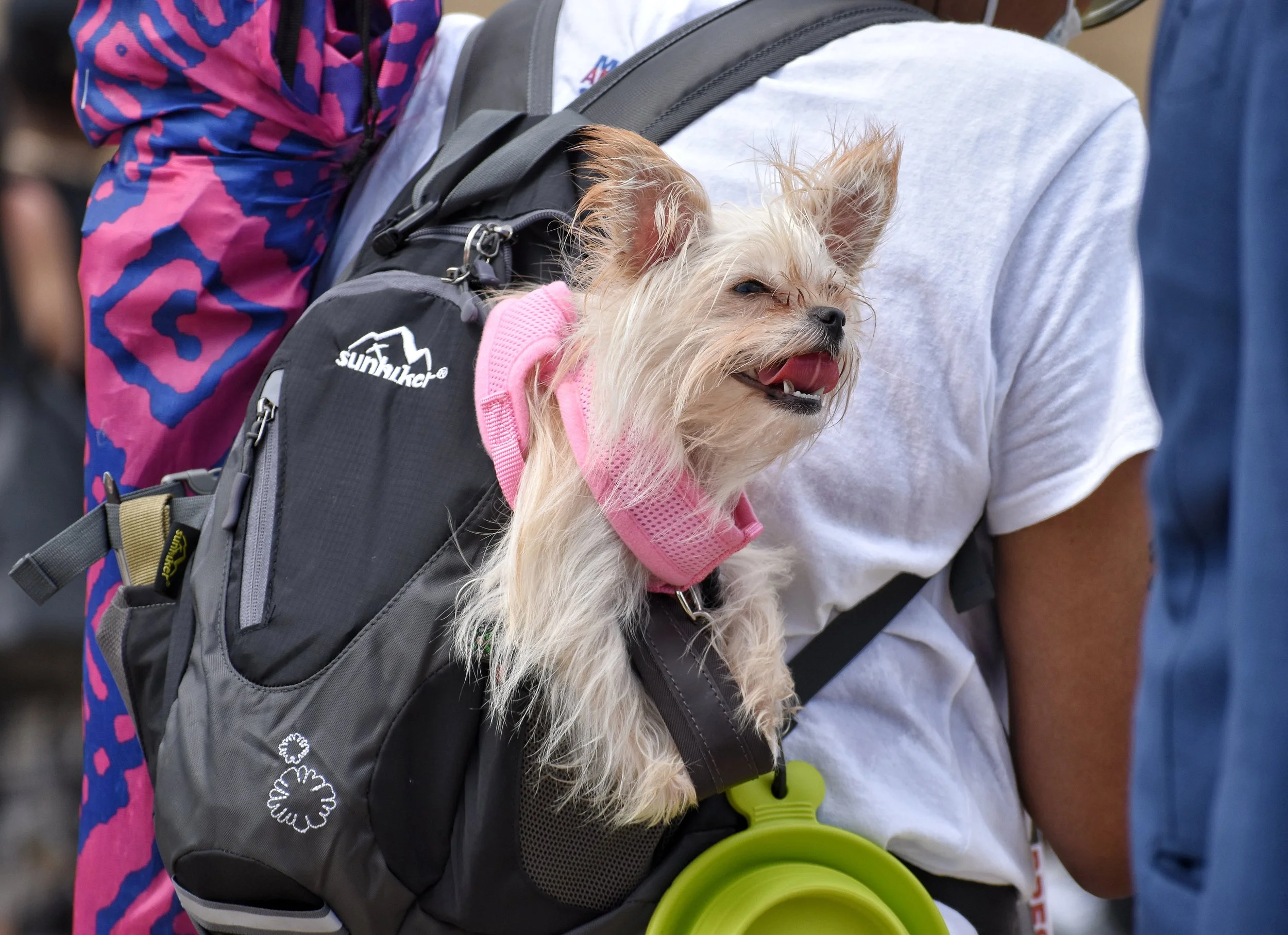 DSC_0914-01.jpeg