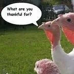 Happy Thanksgiving, We are Thankful for You!
