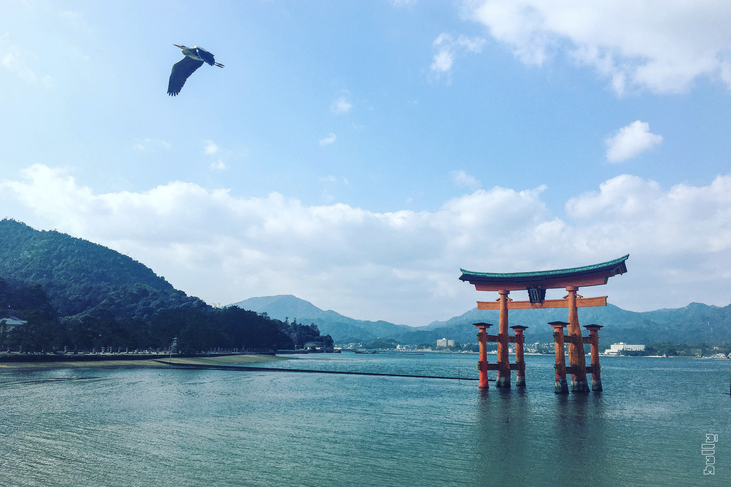 JAPAN.003.jpg