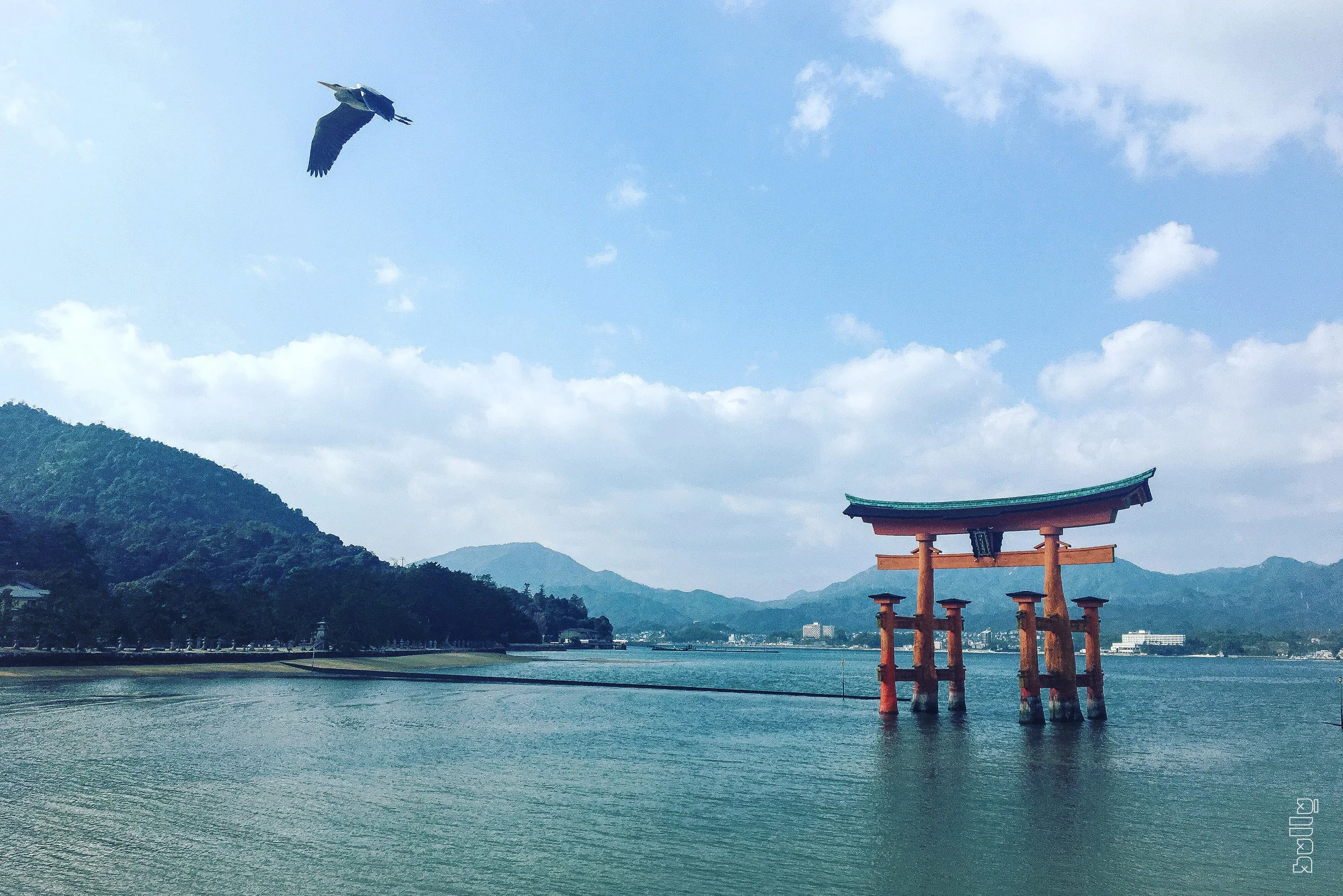 JAPAN.003.jpg