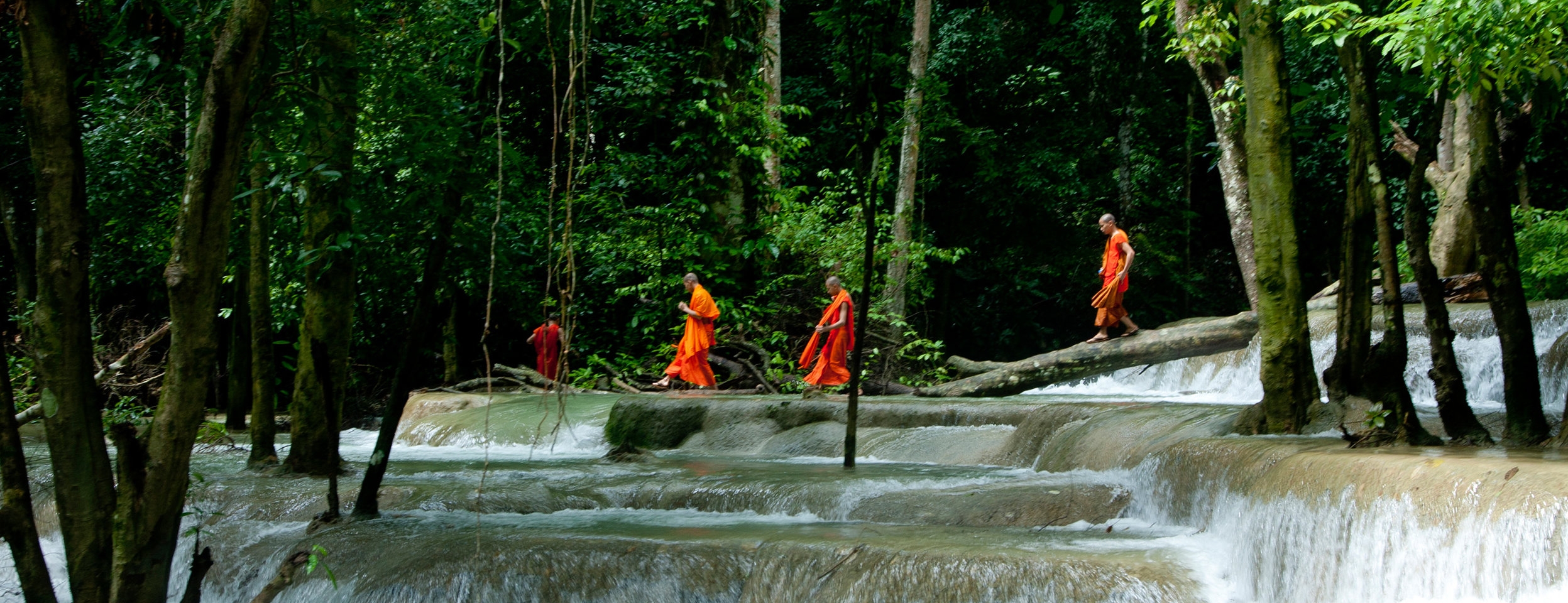 Monk Conga.jpg