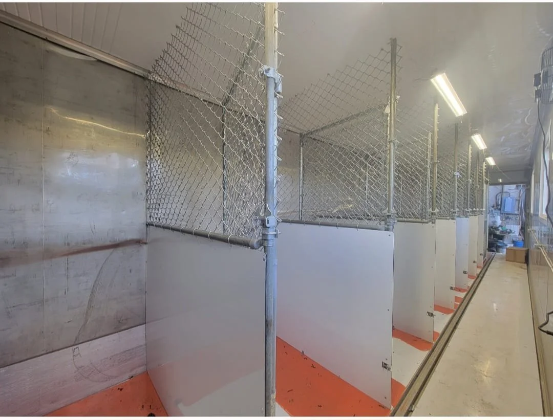 40-ft shipping container converted into a dog kennel business
