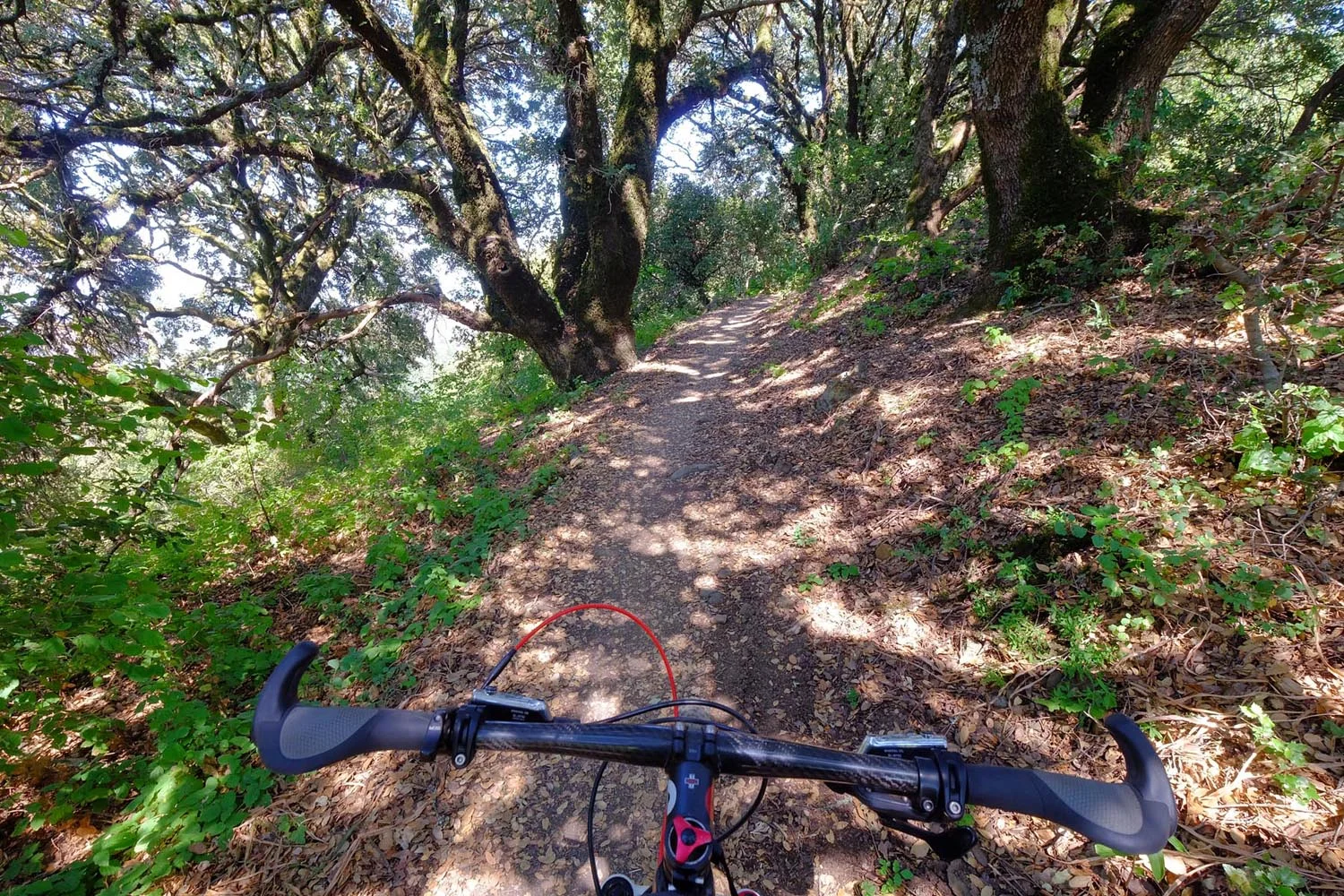 SF-Peninsula-Traverse_15.jpg