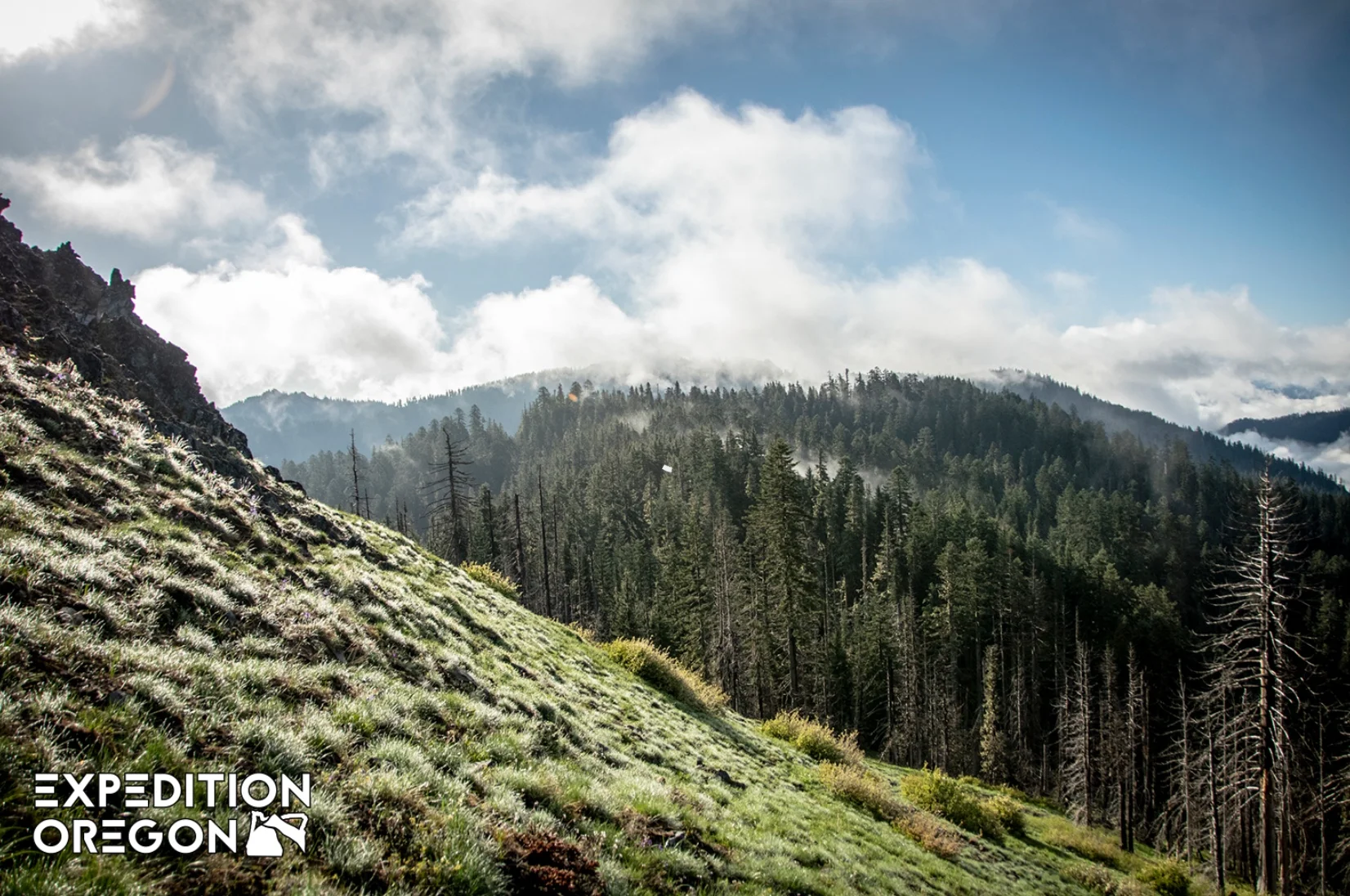 ARWS- Expedition Oregon