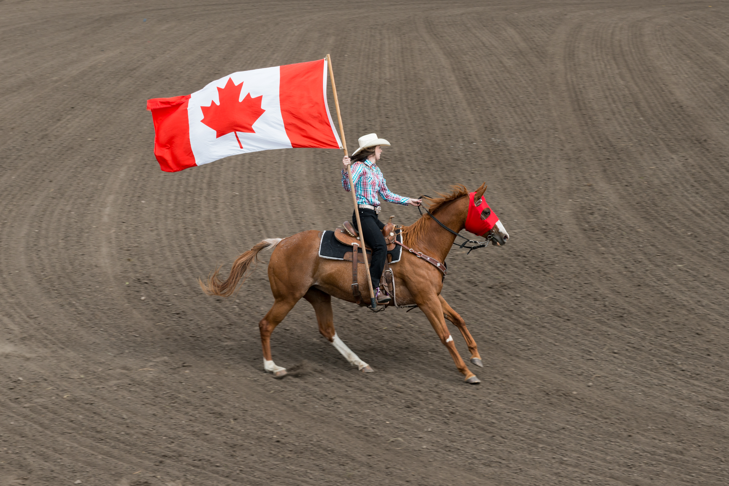 Hardisty 5 Canadian Flag.jpg