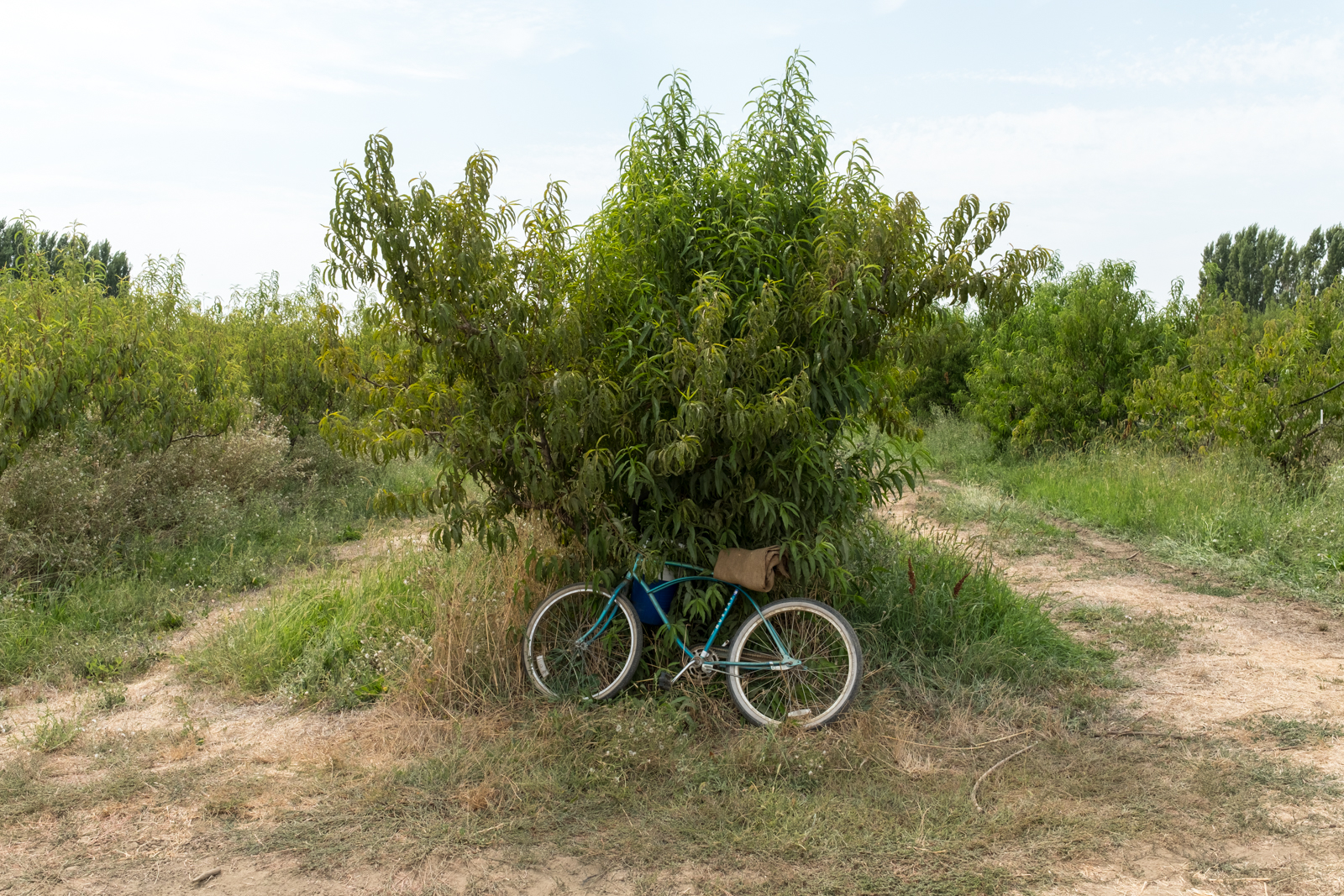 Rural-4-3.jpg