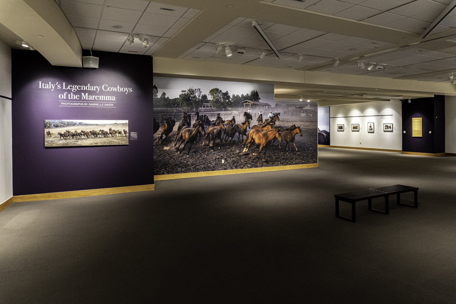Whitney Western Art Museum / Buffalo Bill Center of the West / John Bunker Sands Gallery, Cody, WY, 2022-2023