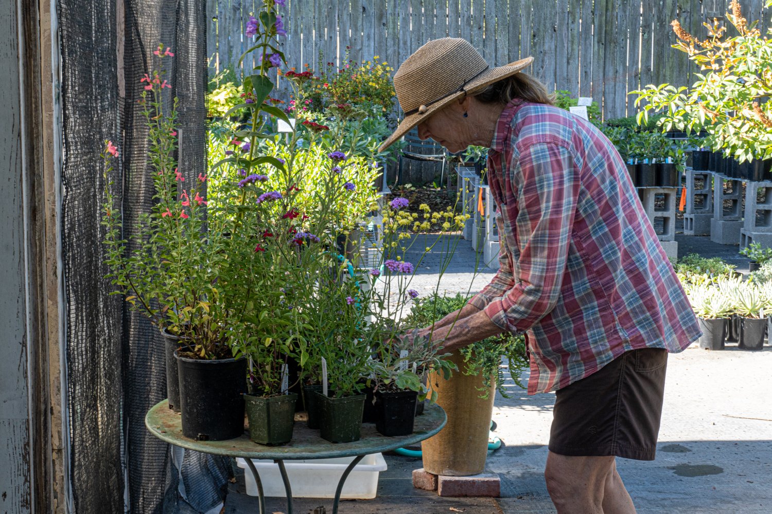 Cal Flora Nursery 201922190717.jpg