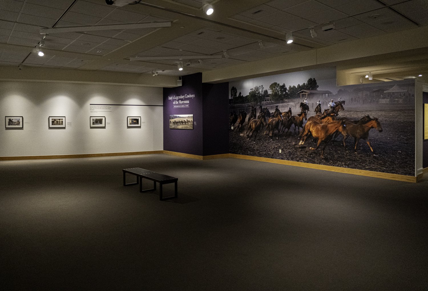 Whitney Western Art Museum / Buffalo Bill Center of the West / John Bunker Sands Gallery -- Cody, WY 2022-2023