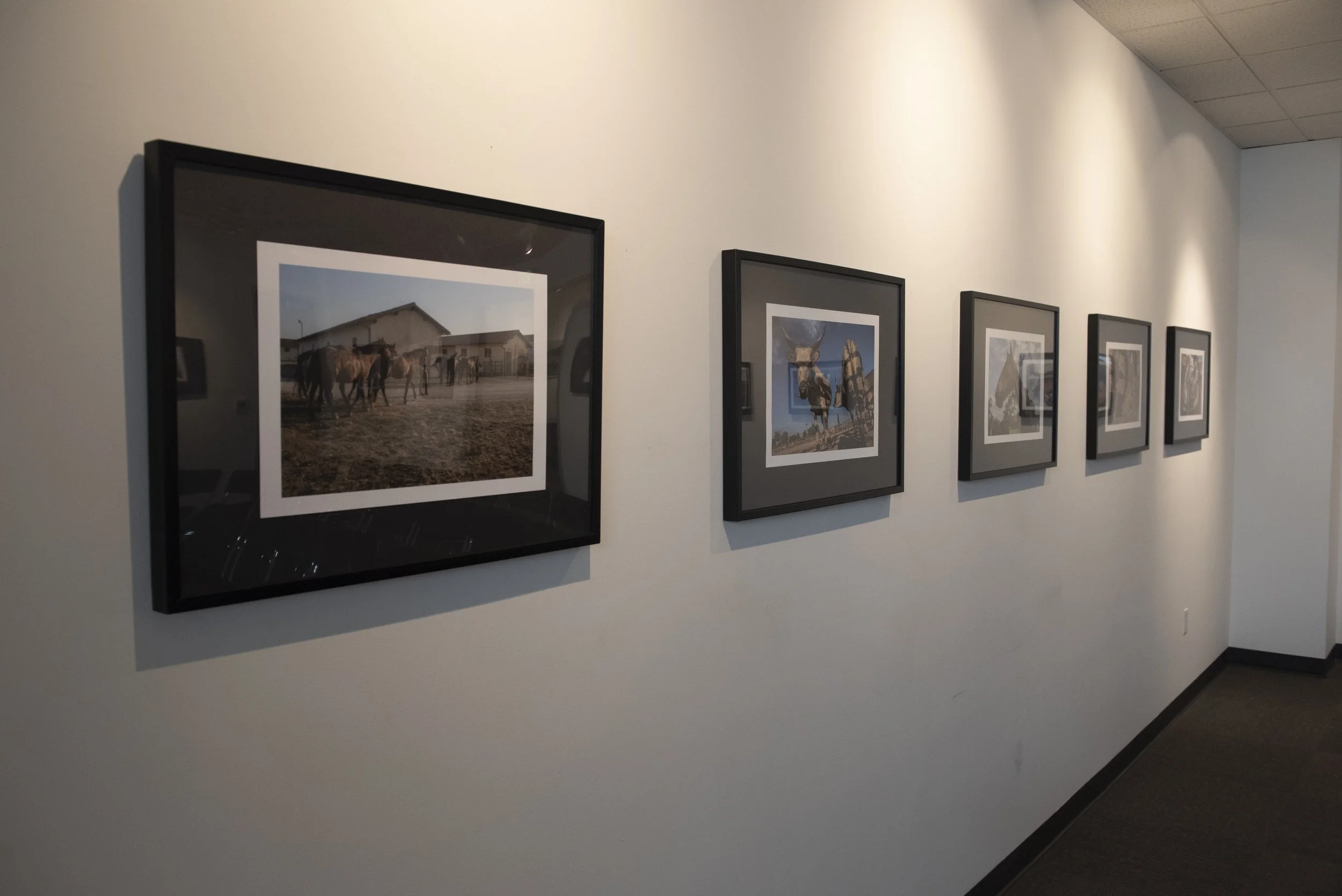 Saveri_ (5 of 28).jpg