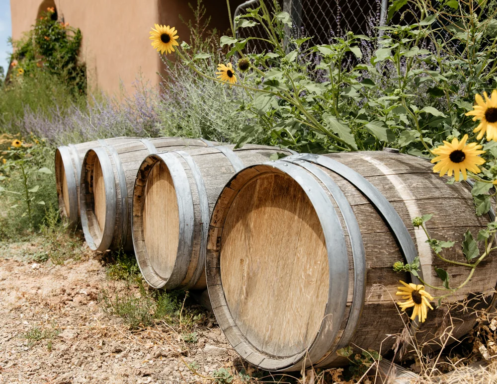 gylfphephoto_Vineyard_009.jpg