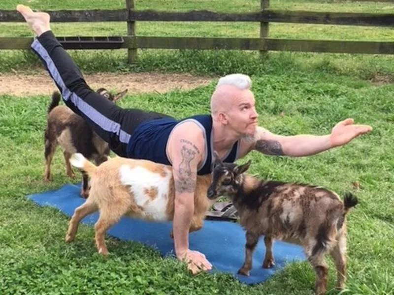yoga with goats.jpg