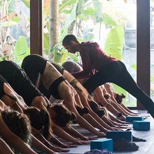 down-dog-adjustment-radiantly-alive-bali-ubud-yoga-300.jpg