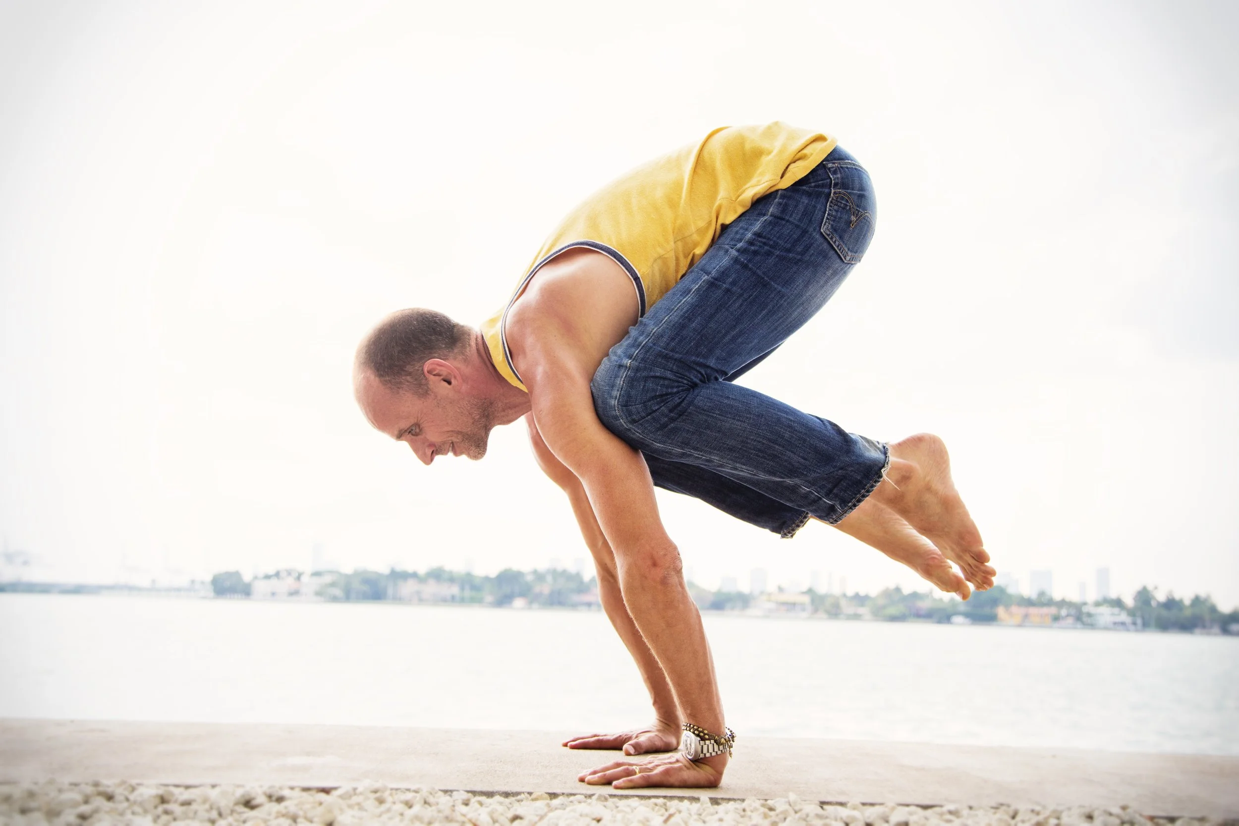 5 Day Ashtanga Immersion With Kino Macgregor And Tim Feldmann Radiantly Alive Yoga