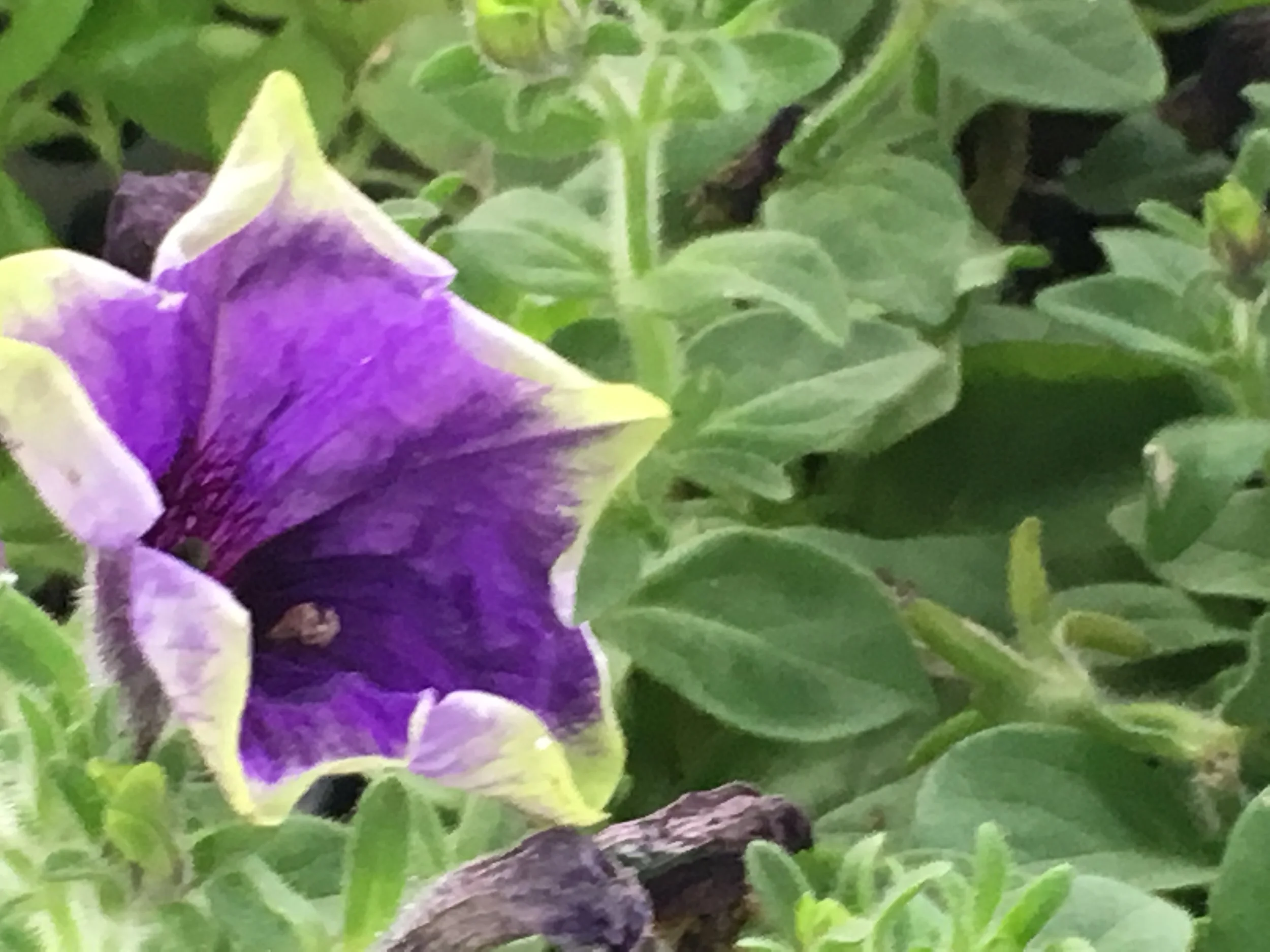 Yeah! Spring Is Finally Here.