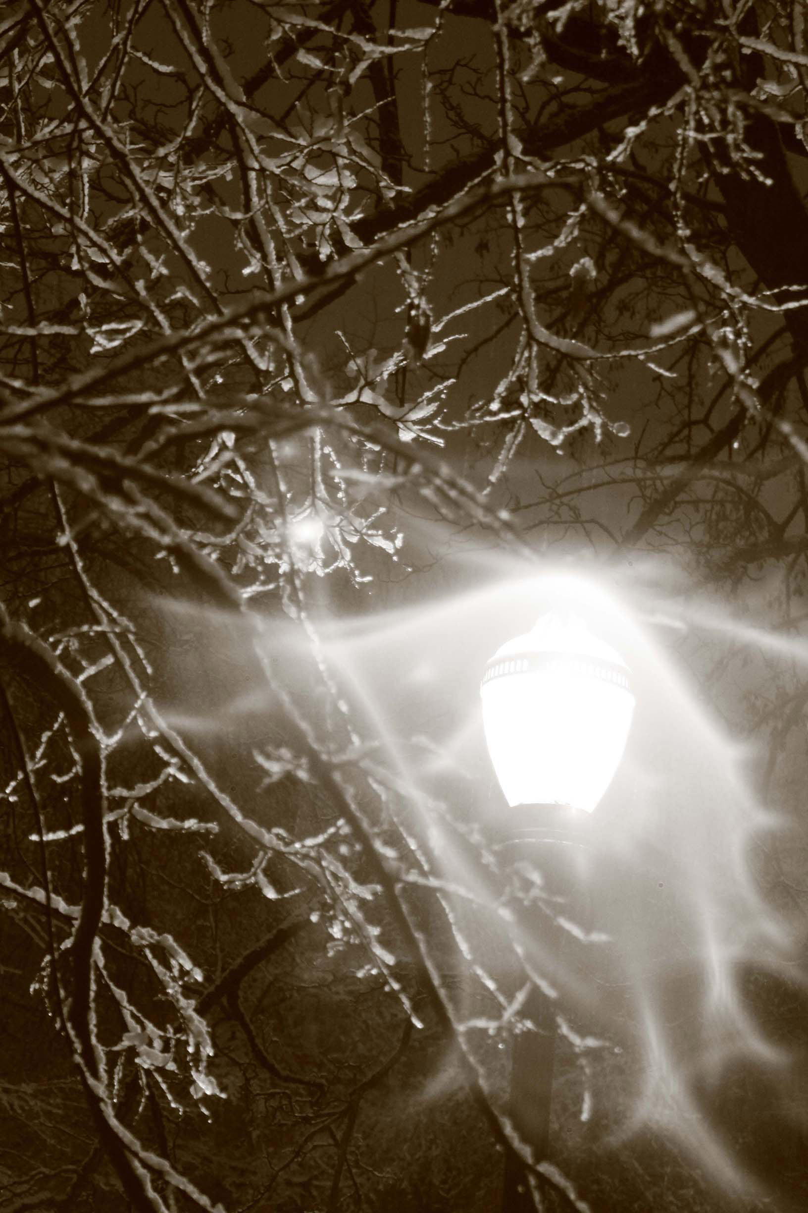 Snow Ghosting - No. 3