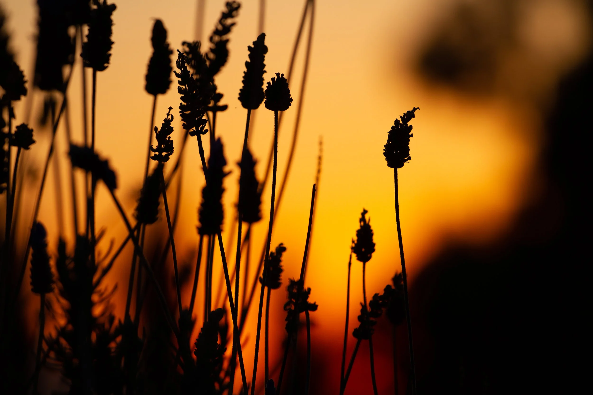 20120807-untitled-67.jpg