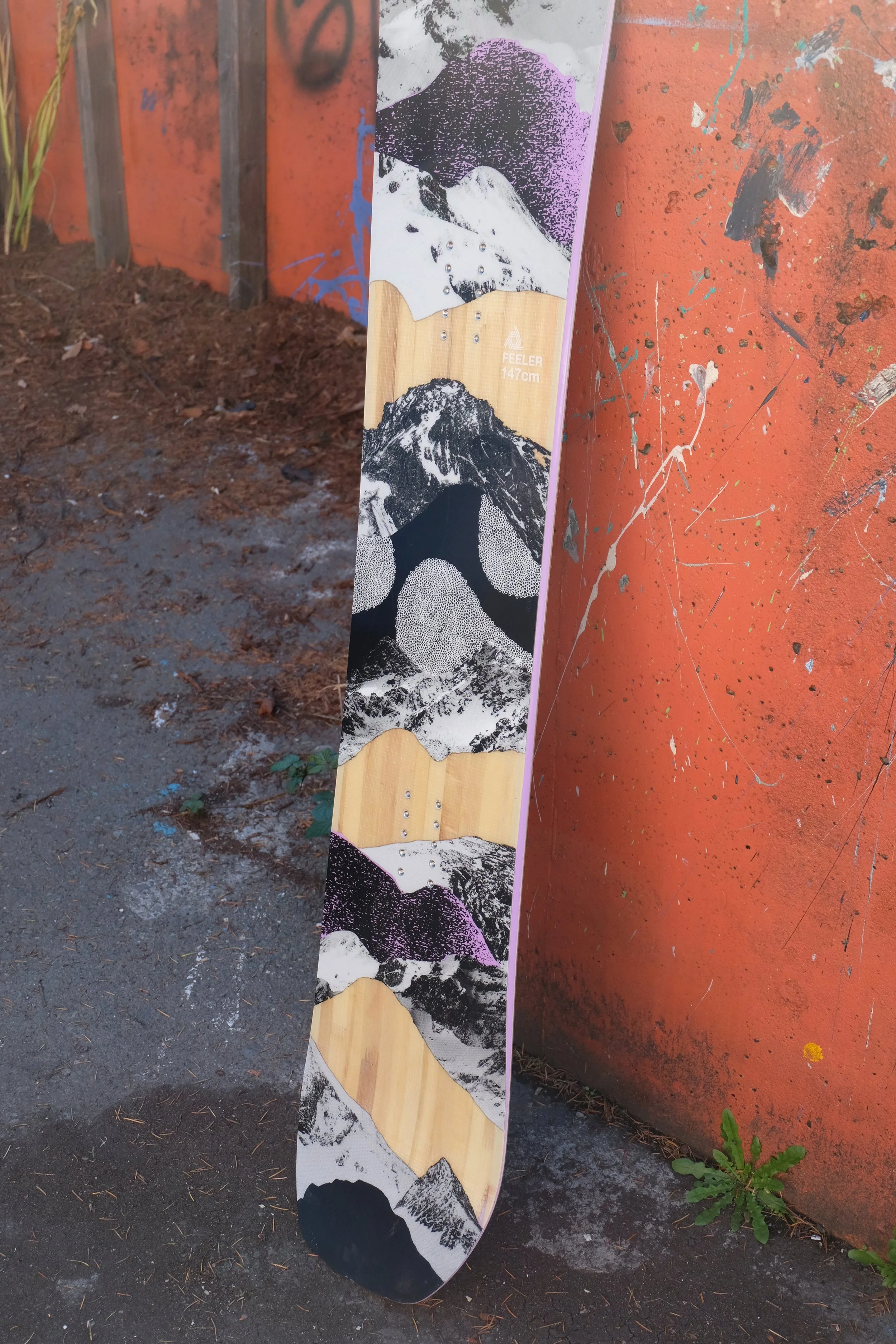 DSCF3657.JPG