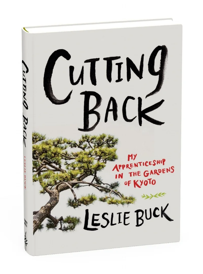 3.Cutting Back 3D COVER.jpg