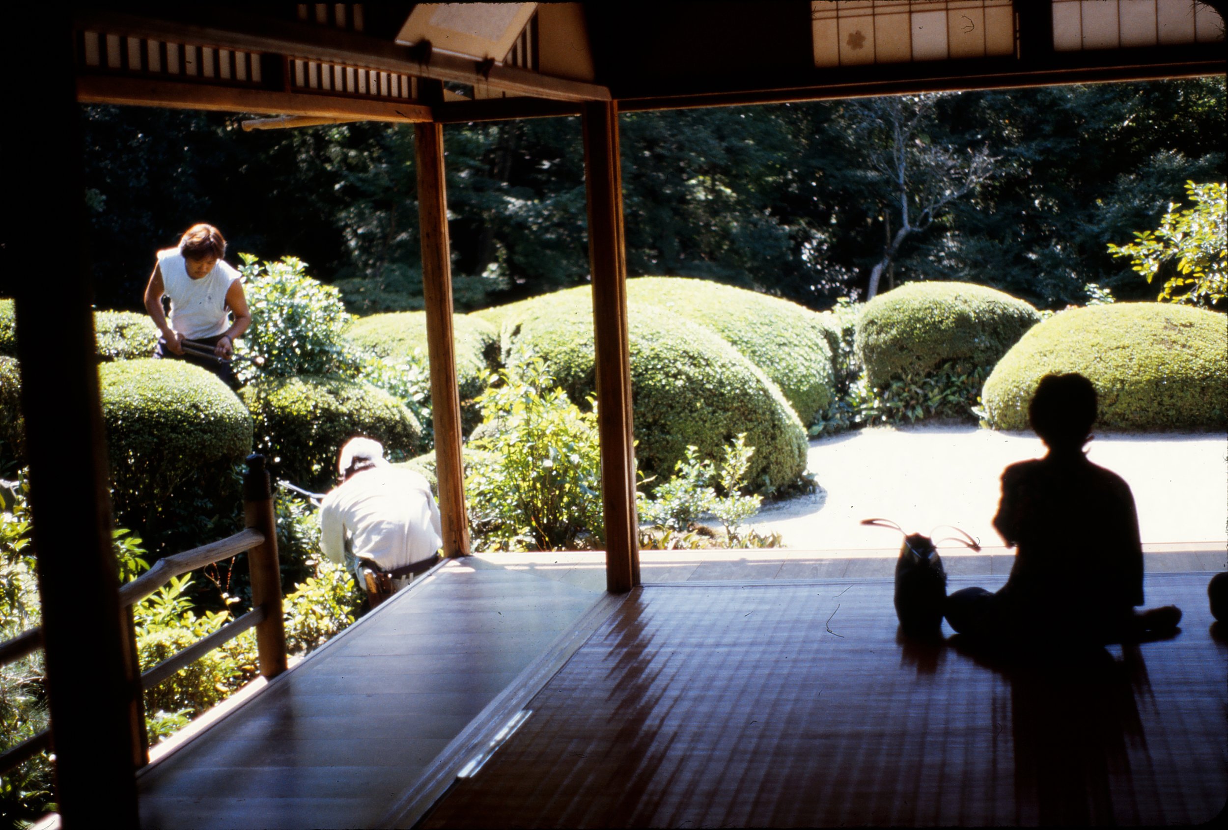 Tamamono, sheared and mounding shrubs