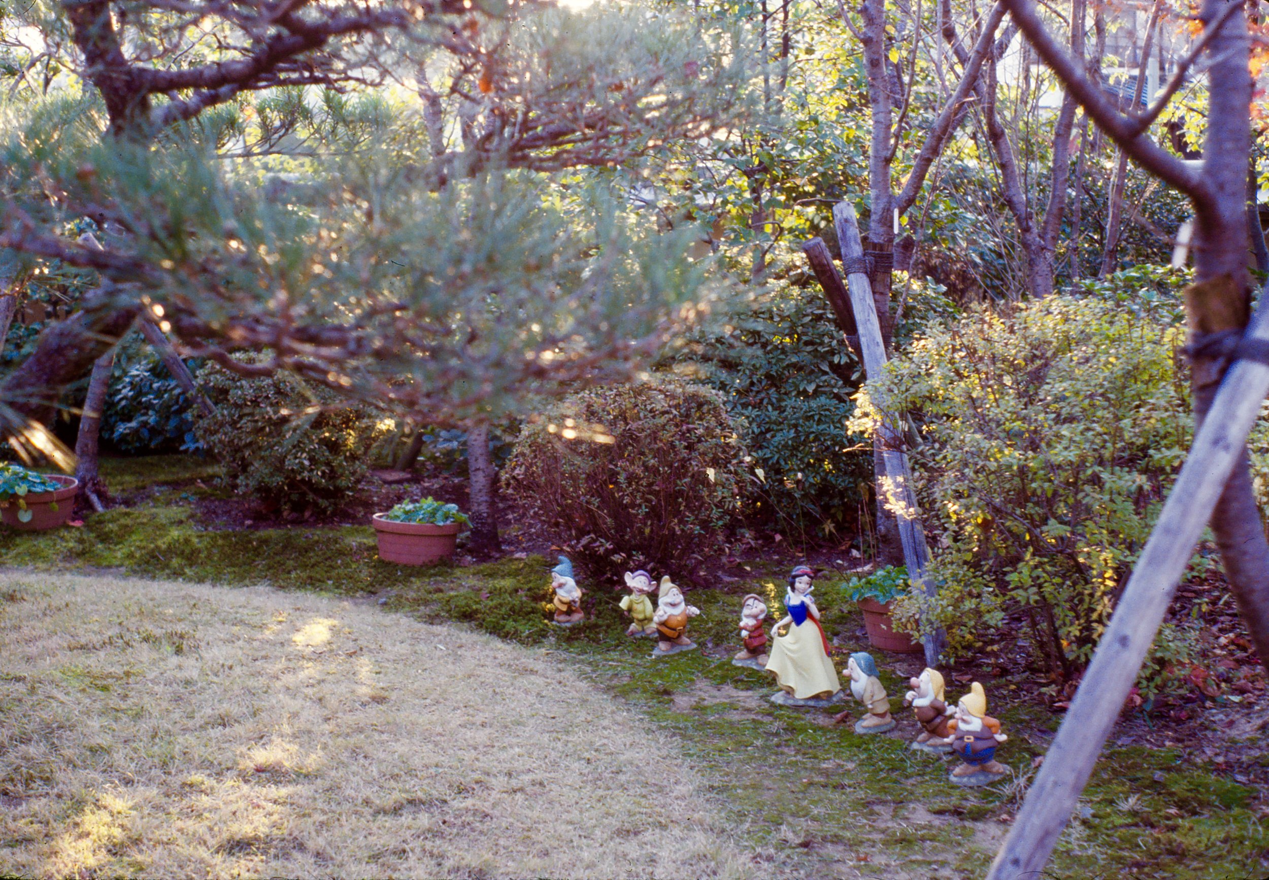 Shirayuki-hime to shichi-nin no kobito-tachi, Snow White and the Seven Dwarfs