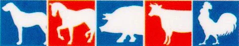 cow_sheep.jpg