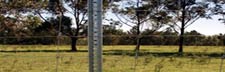 Steel Posts & Droppers JD’s stocks a wide range of steel fence posts & droppers that provide a low cost option when compared to many other post materials. Galvanised posts & droppers are fire resistant and eliminate the impact of termites. Quick & easy to install.