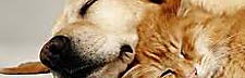 Petcare We have all your Petcare products including all the major petfood brands.