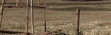 Fencing We supply fencing equipment including netting, hinge-joint, barbed wire & electric fencing.