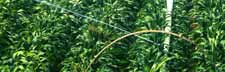 Irrigation JD's can supply all your irrigation equipment, pump systems, pond, supplies, filters, pipe and fittings.