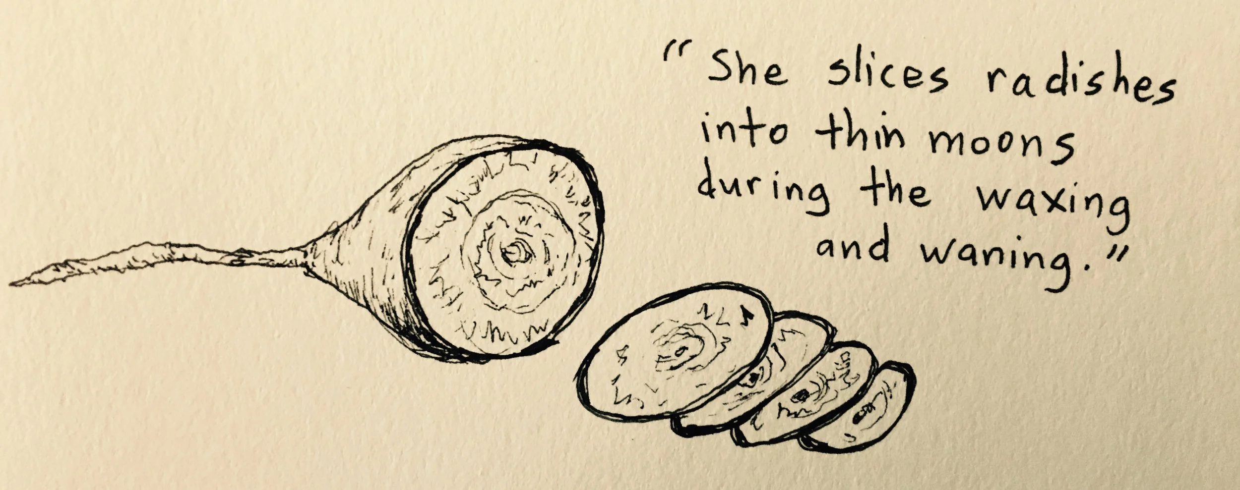 Drawing by Julia Koets with quote from Hover Over Her by Leah Poole Osowski