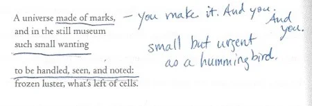 Exhibit E: Excerpt from “Microfossil Exhibit” asking us what we’ll handle, see, and note in our brief time, with our failing sight.