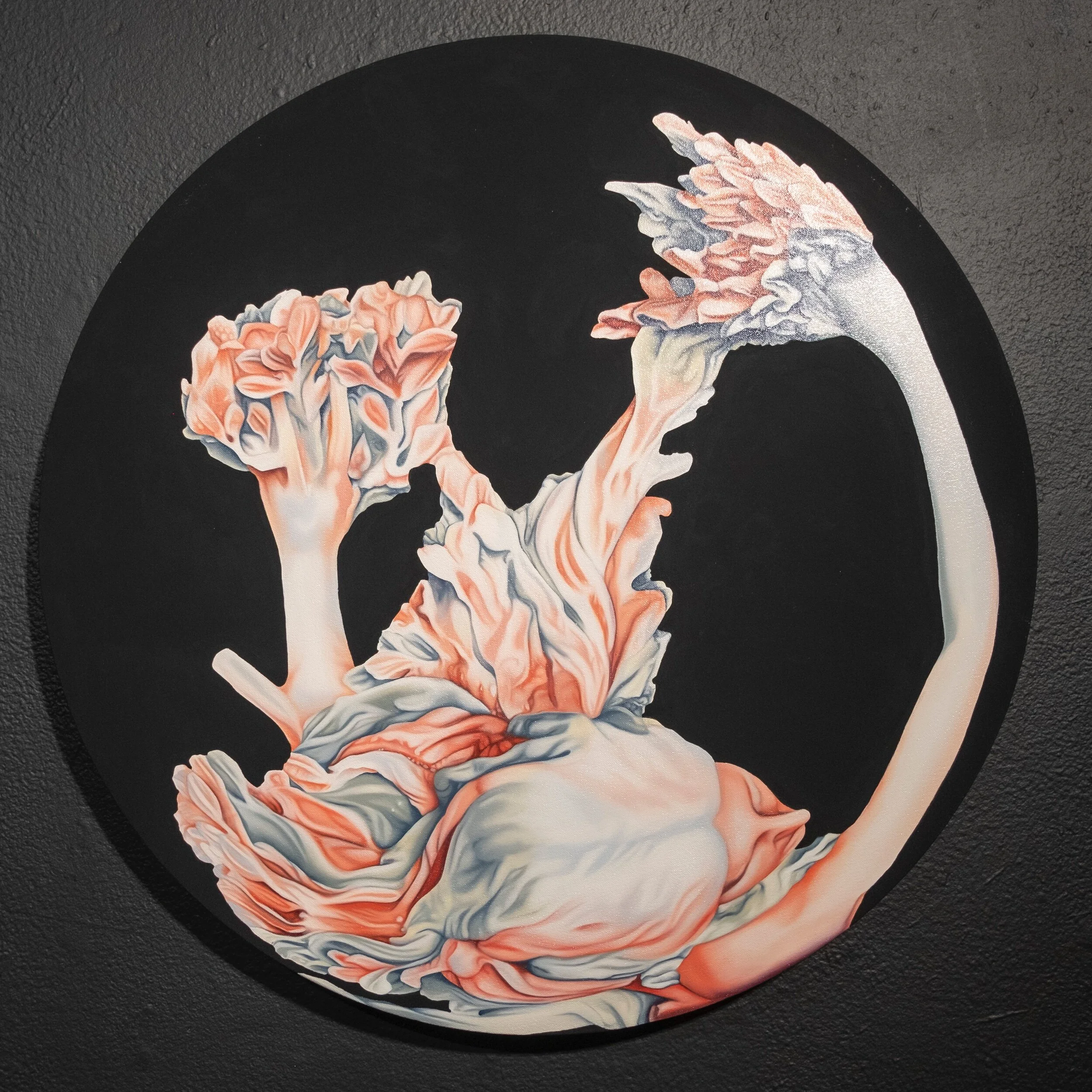 75989029-4C7C-45AA-9066-F486B304A6E8