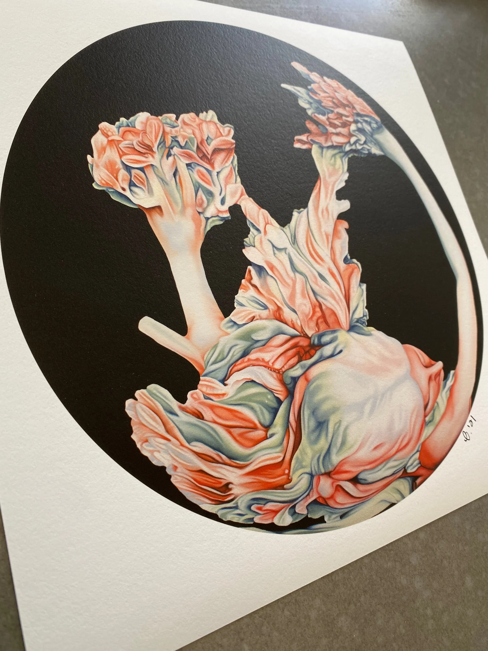 21539064-8526-4397-9969-53A61FD8B806