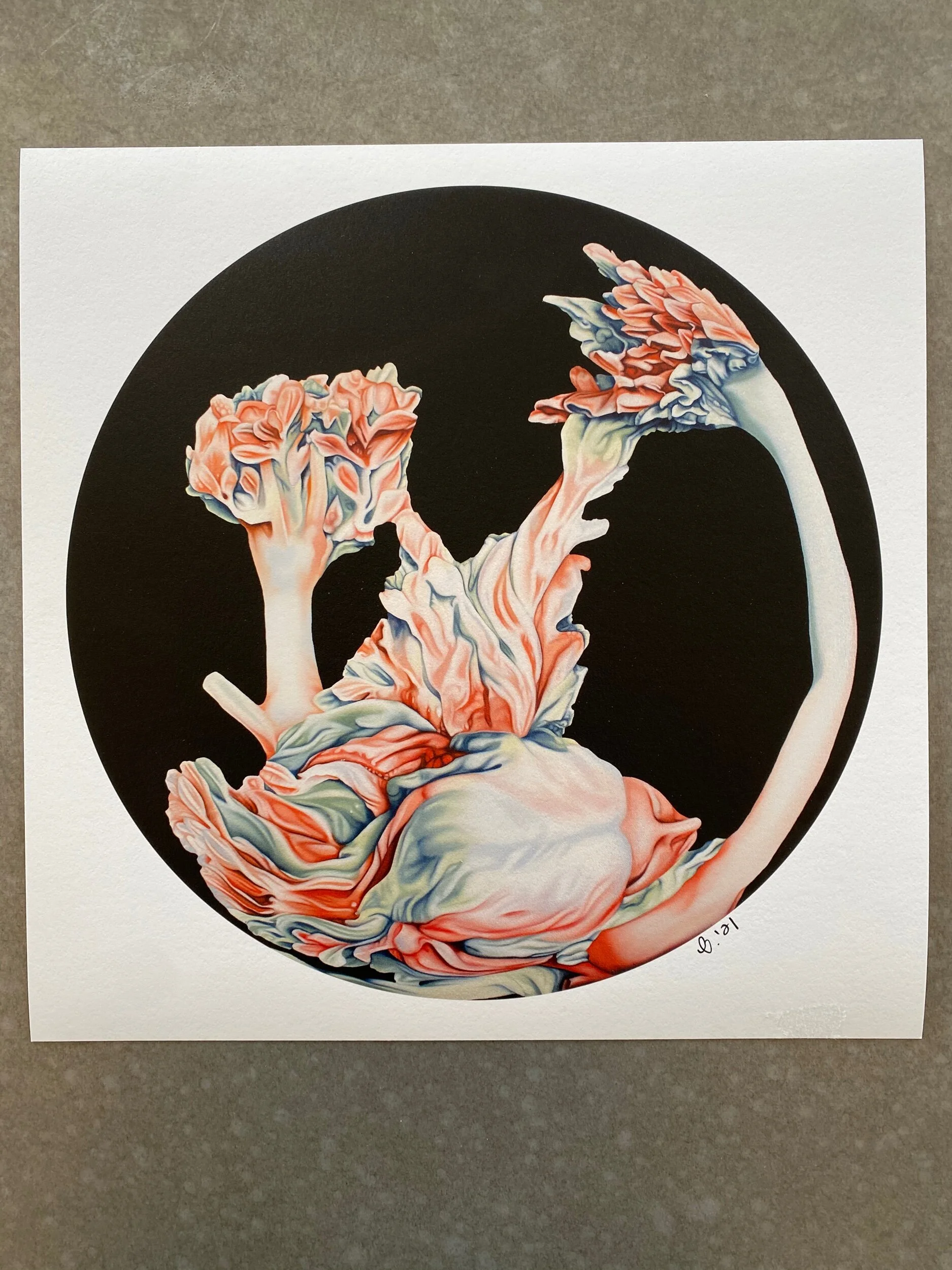 7DE393B7-A22E-4818-88C6-62B776B2BAD7