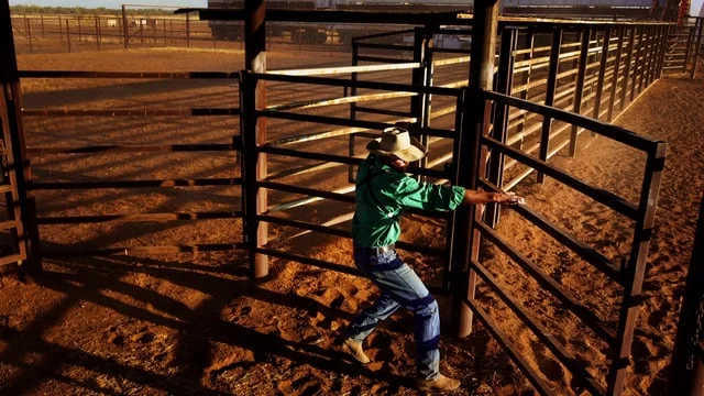 Cattlemen of Cloncurry 