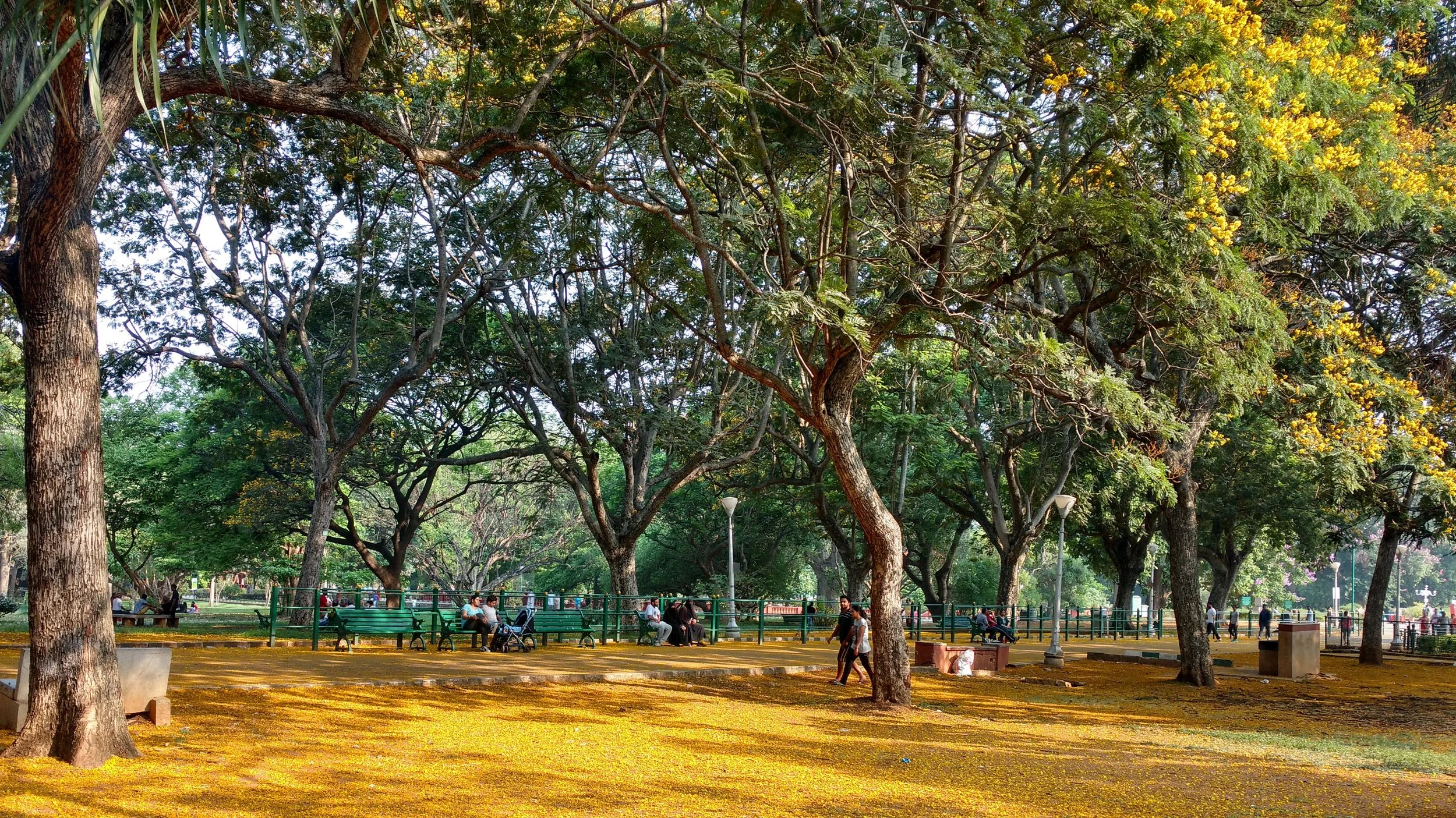 Lalbagh Botanical gardens today