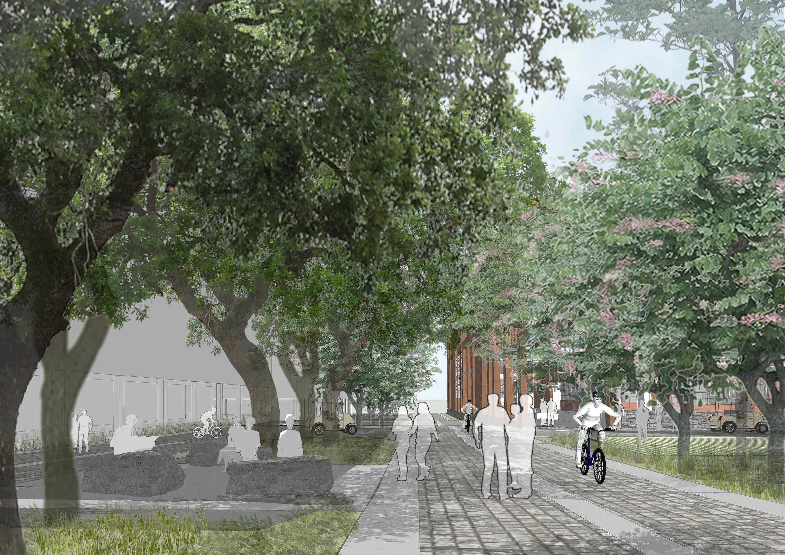 Academic road view with boulders.jpg
