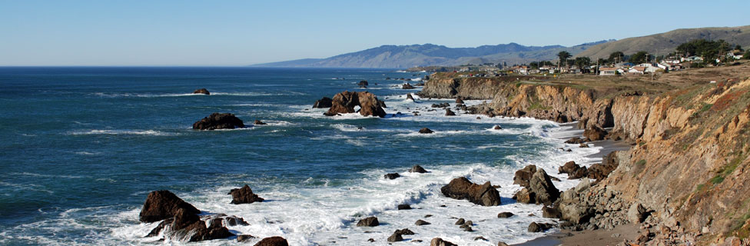 Bodega Bay Coastline.webp