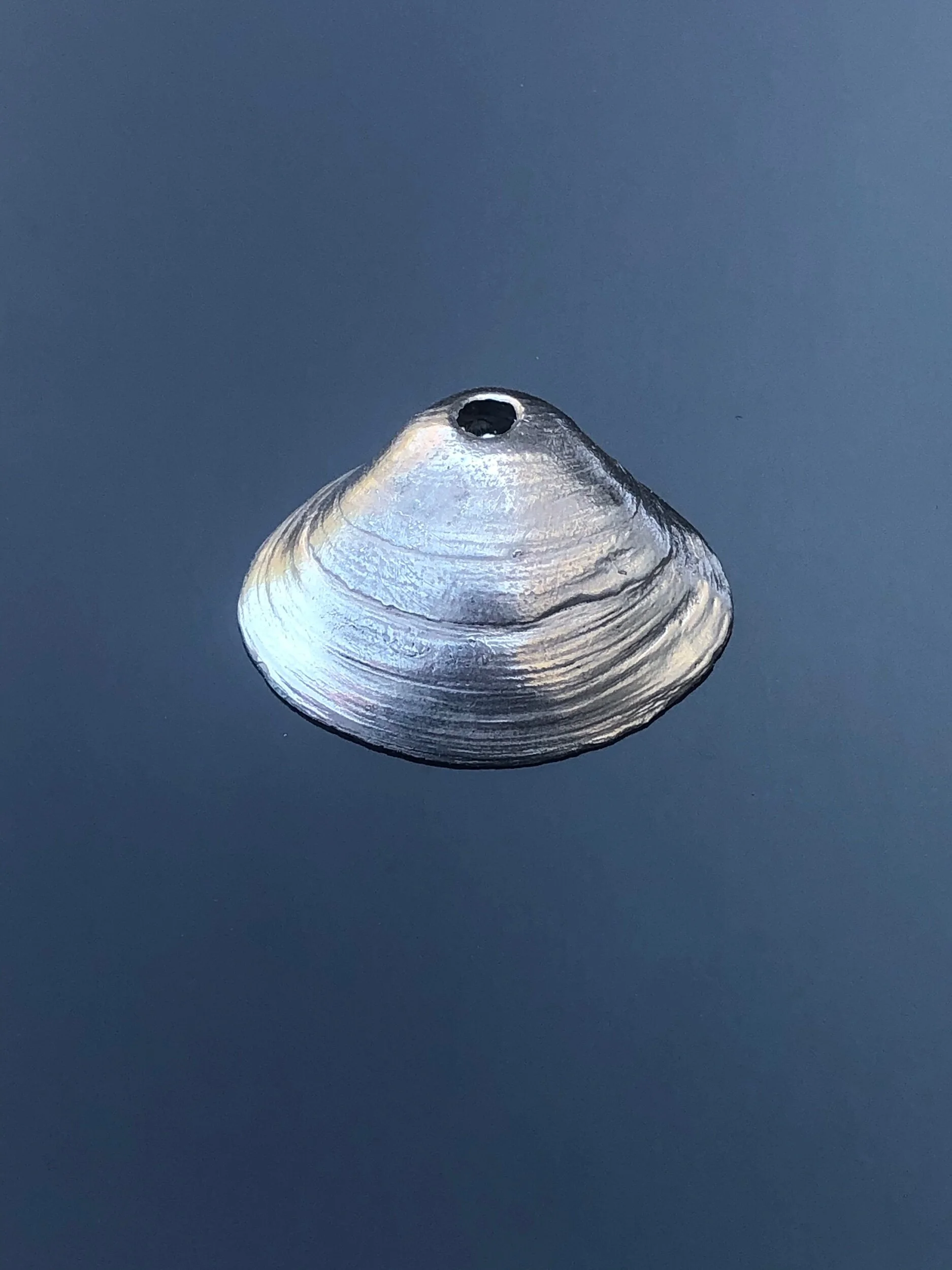 1C19513D-643E-4D5A-AE14-797D60BFBCBA