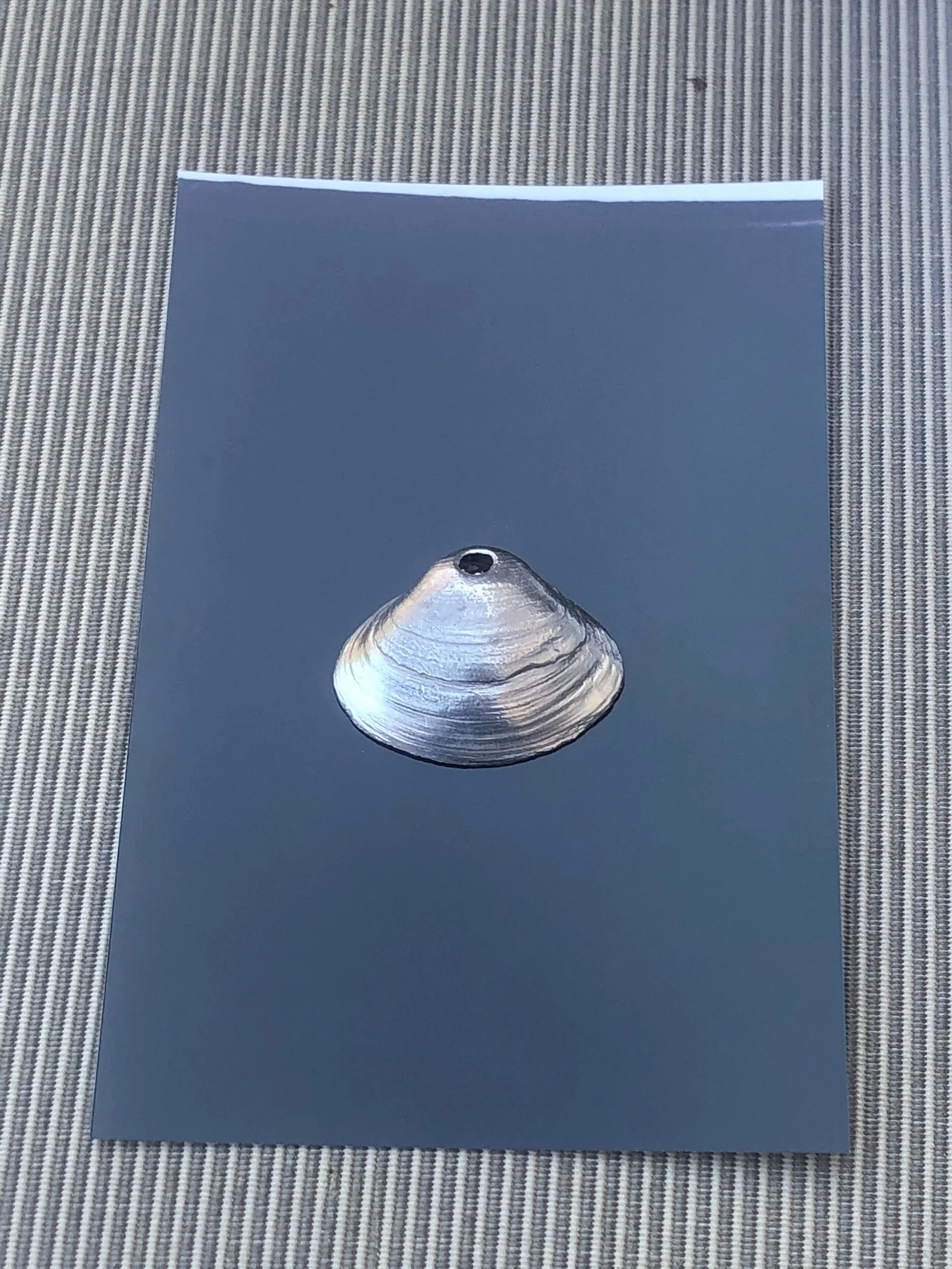 403BD10C-E5F0-4A35-A0A8-072EC2B4E0E4